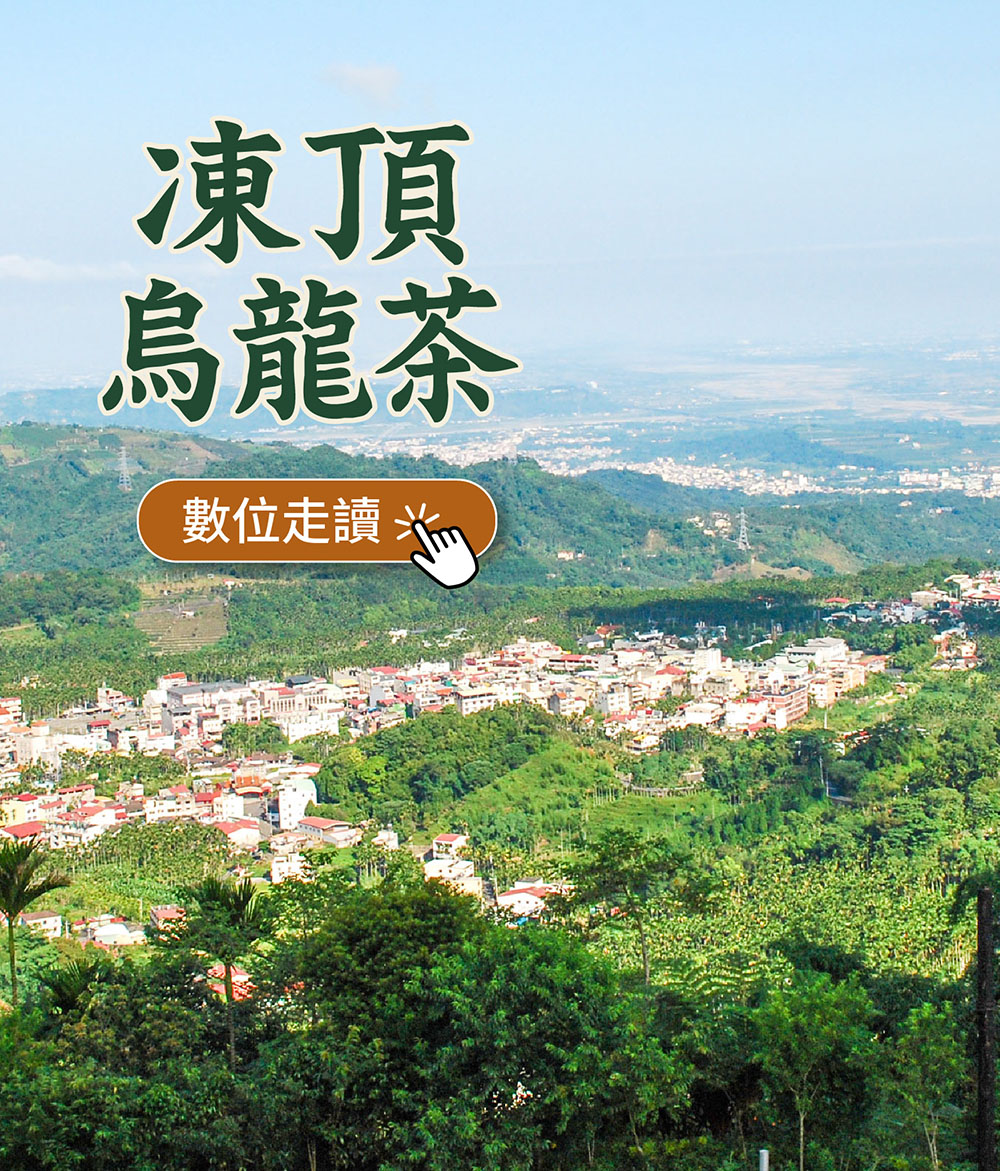 凍頂烏龍茶數位走讀