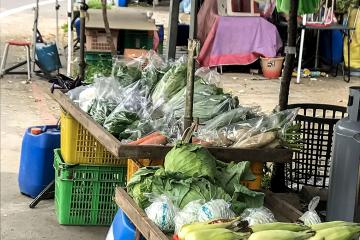 石門山市集攤販店家─農特產--蔬菜
