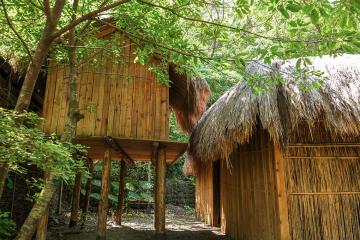特富野社住家 Traditional House in Tfuya Village