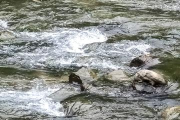 鹿母潭溪溪流石