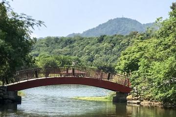 生態公園內埤塘上之拱橋