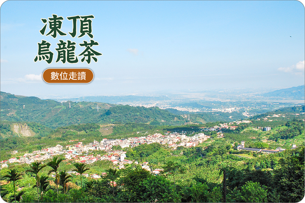 凍頂烏龍茶數位走讀