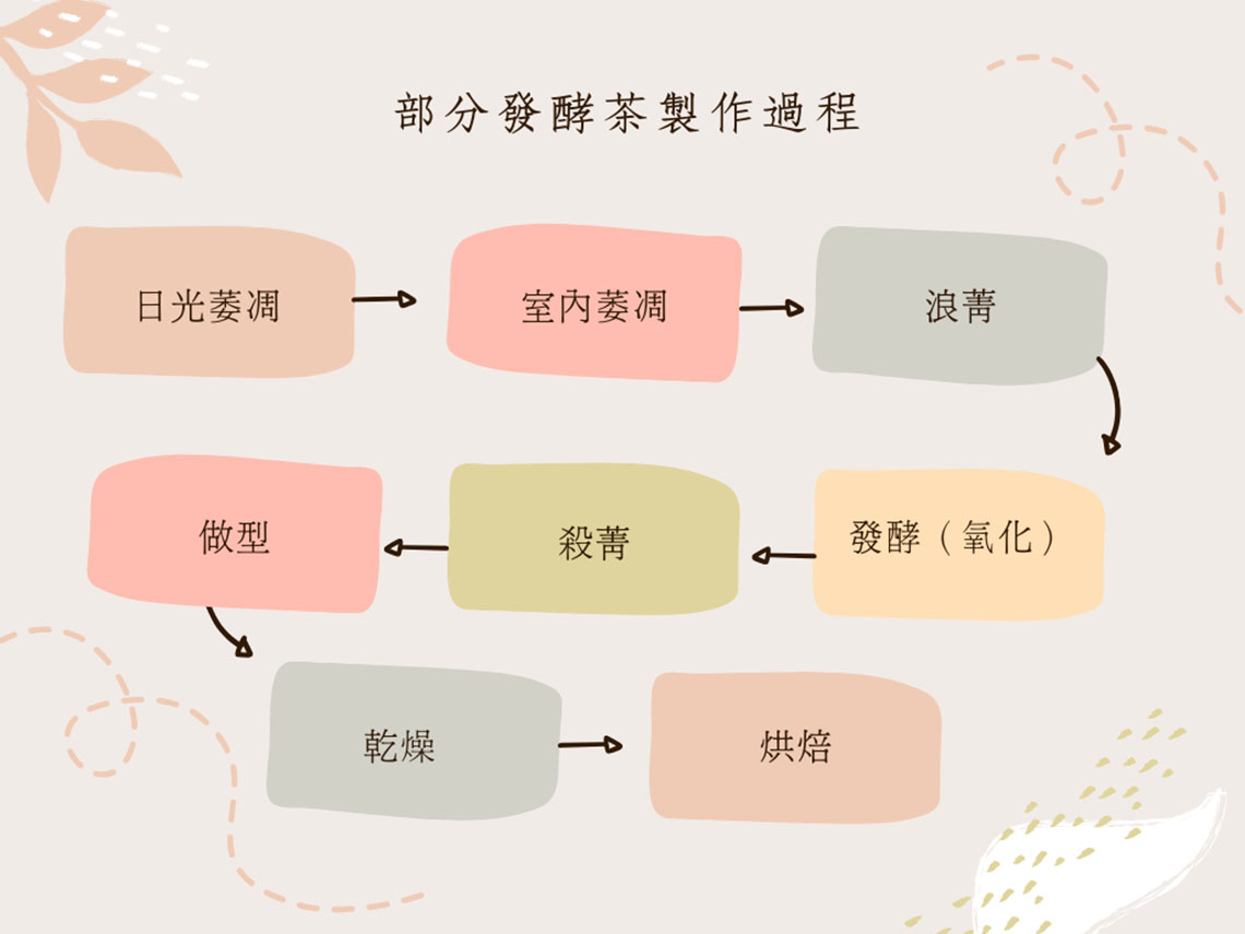 部分發酵茶製作過程