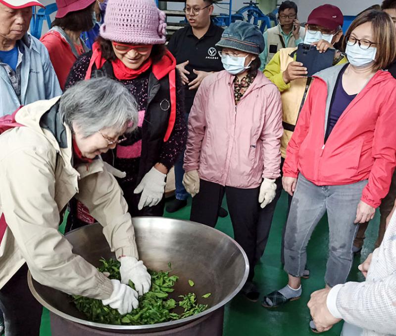 也讓民眾共同參與製茶的過程 照片提供者：朱肇維