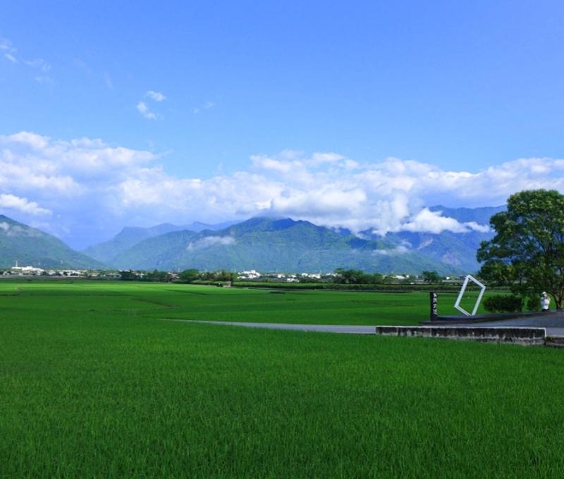 伯朗大道畫框 照片提供者：黃宣衛