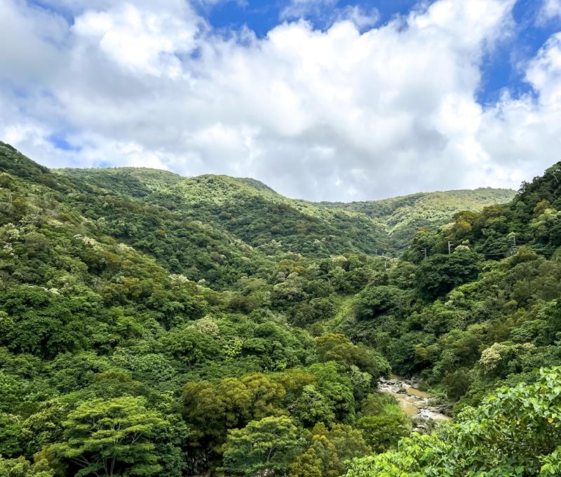 牡丹社群入口-佳德谷 照片拍攝者：屏東縣牡丹鄉公所 / 拍攝日期：2022/04/28