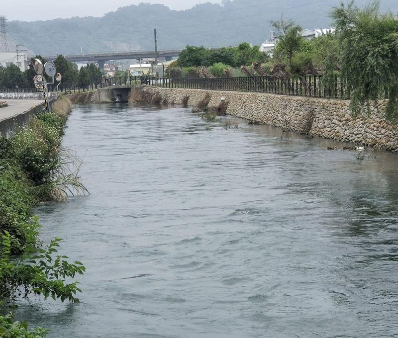 綠陽垂柳-3 照片提供者：臺中市后豐社區大學廖啟宗、吳怡靜、詹智傑共同提供 / 拍攝日期：2025/4/20