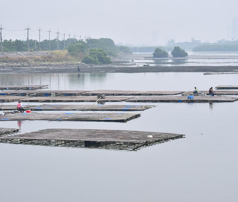 蚵棚 照片提供者：千里步道協會