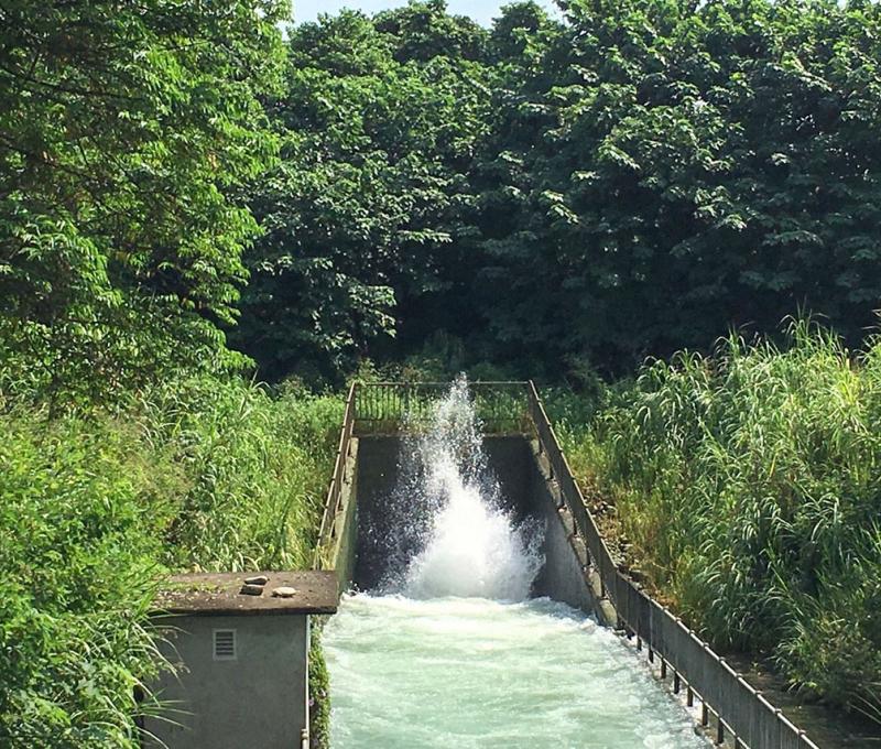 蹦水口-1 照片提供者：臺中市后豐社區大學廖啟宗、吳怡靜、詹智傑共同提供 / 拍攝日期：2023/9/16
