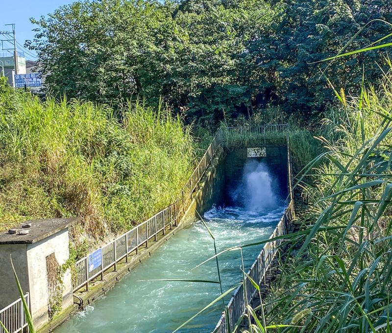蹦水口-2 照片提供者：臺中市后豐社區大學廖啟宗、吳怡靜、詹智傑共同提供 / 拍攝日期：2023/11/18