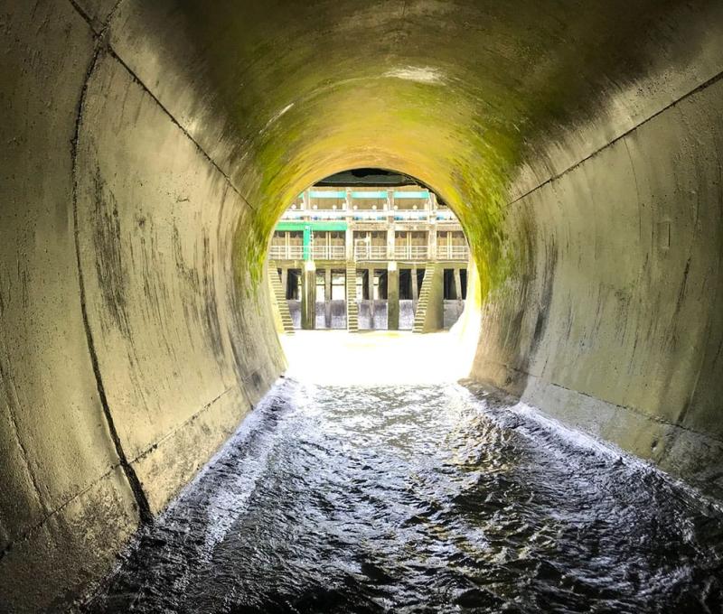 舊東口隧道為直徑5.4公尺之馬蹄型斷面 照片提供者：林文斌 / 拍攝日期：2020/08/21