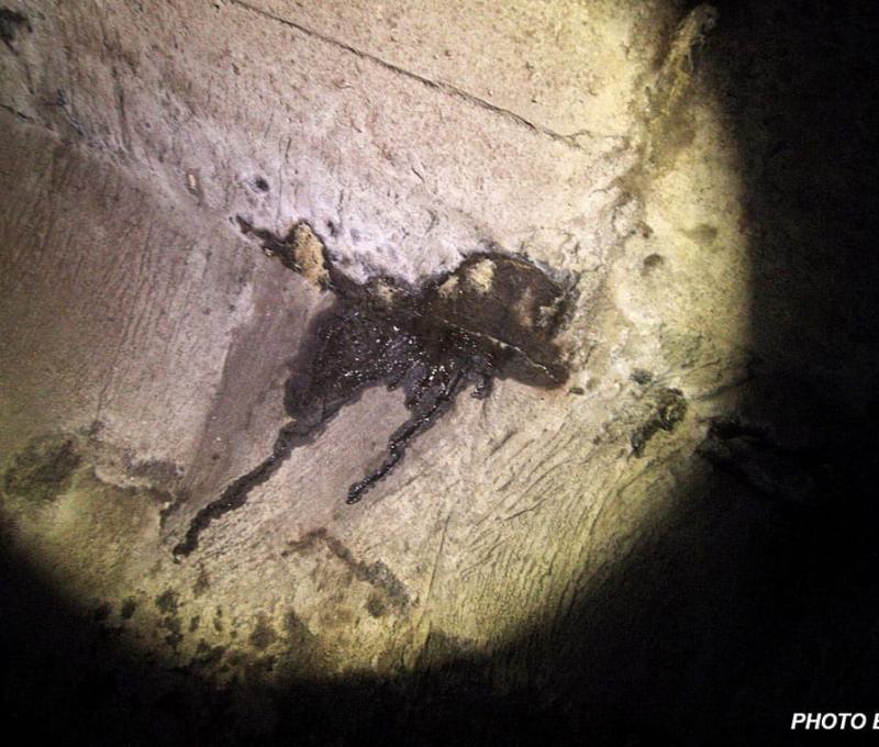 舊東口隧道內至今仍有石油冒出 照片提供者：石振洋 / 拍攝日期：2020/08/21