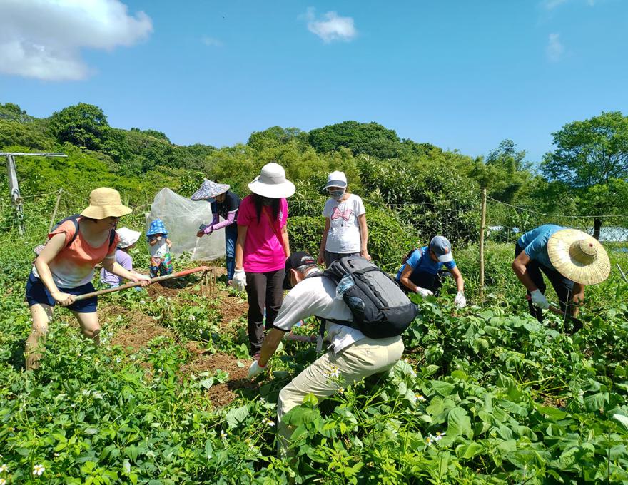 挖地瓜食農教育照片拍攝者：蕭學苑