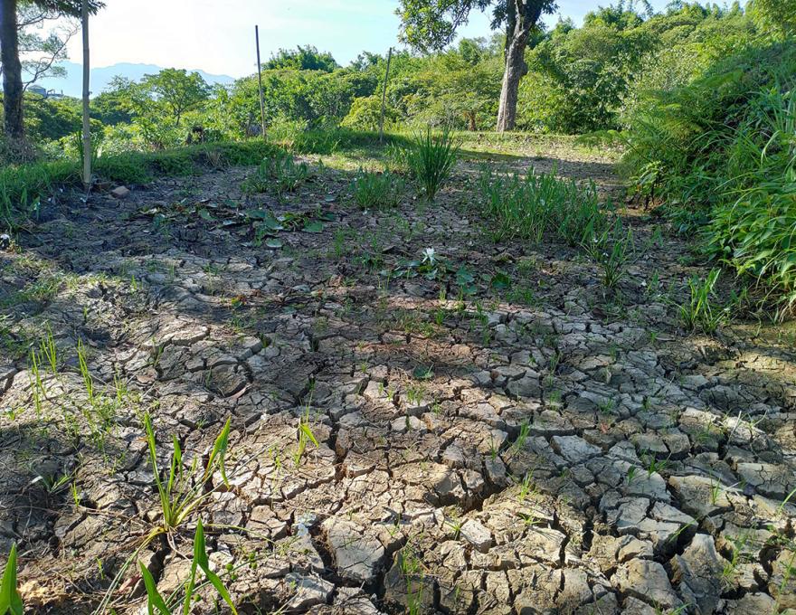 水梯田廢耕示意圖照片拍攝者：蕭學苑