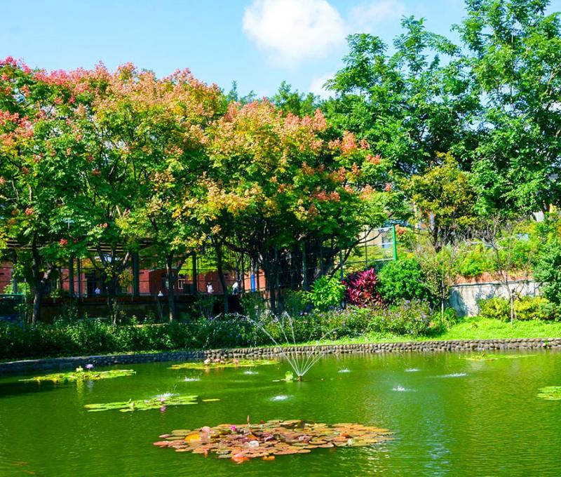 半月蓮花池畔綠意盎然