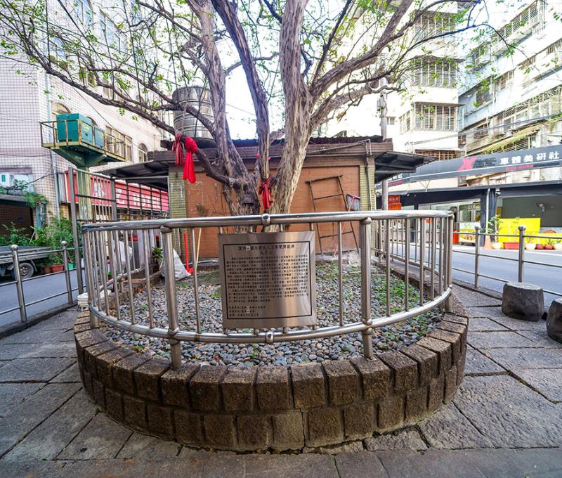 護衛鄉民的九芎樹(九芎公)