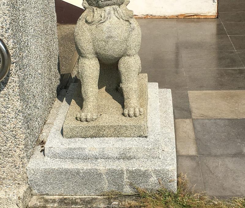 保存在佳冬高農的狛犬(母) 照片拍攝者：客家委員會客家文化發展中心提供 / 拍攝日期：2022