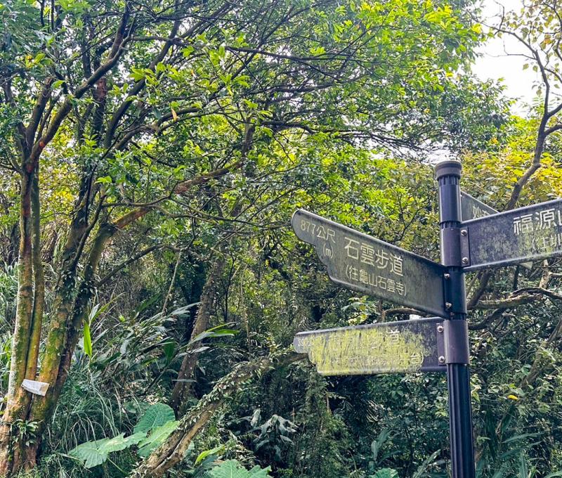 爬上稜線，步道四通八達。照片提供者：林美惠 / 拍攝日期：2023/09/17