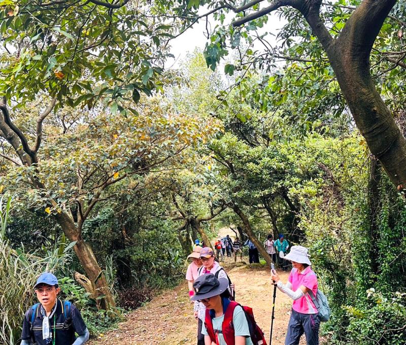 步道沿途植物生態豐富。照片提供者：林美惠 / 拍攝日期：2023/09/17