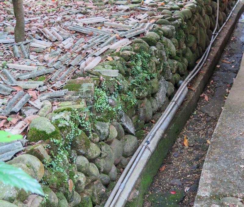 古老的石頭邊坡。照片拍攝者：林炯任／拍攝日期：2021/4/24