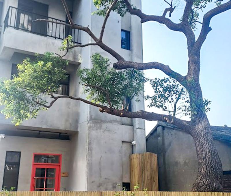 永昌里鐵道旁個性化建築。照片提供者：江明泱 / 拍攝日期：2023/09/13