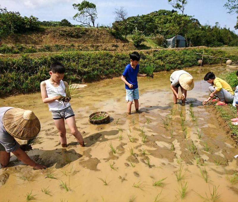 鄉親孩童體驗插秧照片拍攝者：蕭學苑