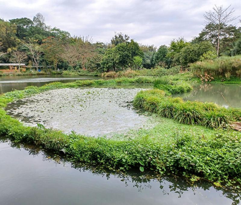 廠區環境。照片拍攝者：黃君琪／拍攝日期：2022/3/6