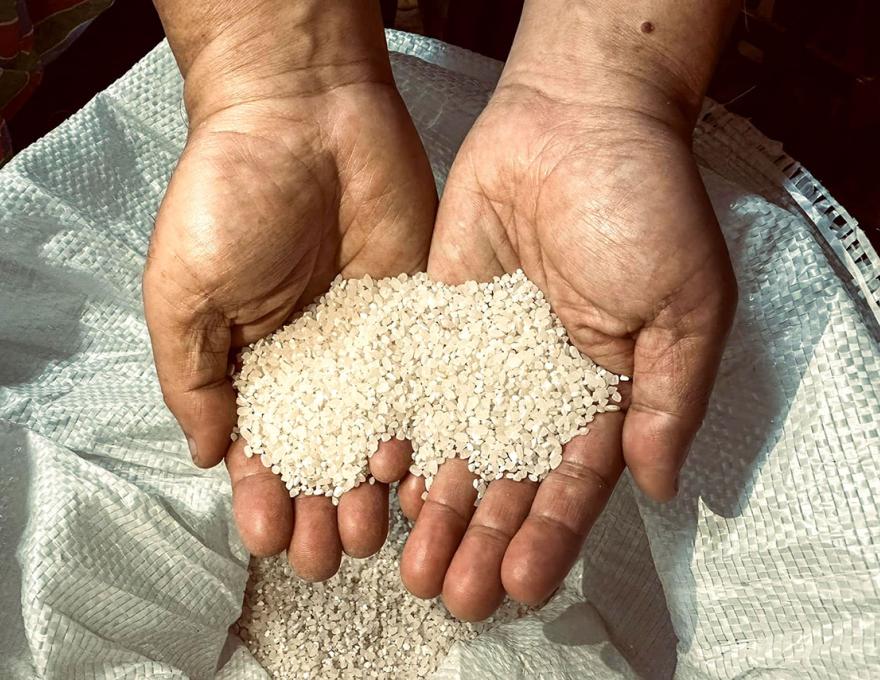 陽光日曬新碾白米照片拍攝者：蕭筑云