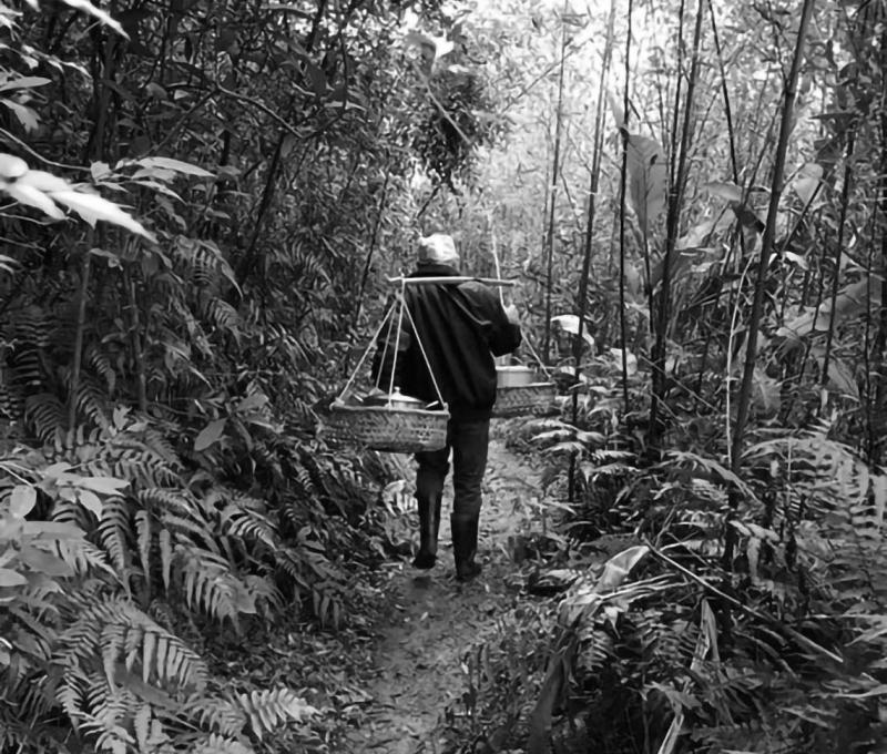 仿古挑穀擔示意舊照片照片拍攝者：蕭學嵩