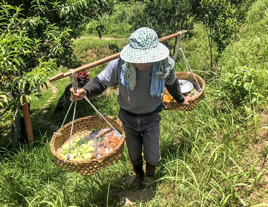 挑割稻飯照片提供者：蕭學苑