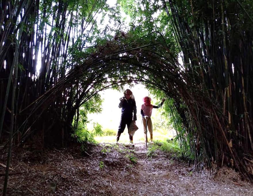 來張網美照吧照片拍攝者：陳愛珠