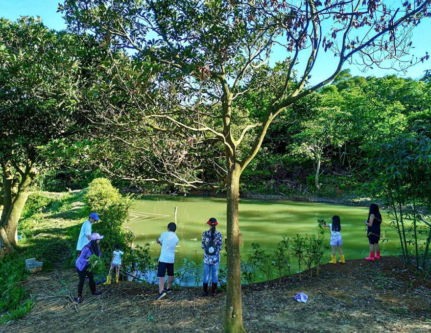 池塘抓魚示意圖照片拍攝者：蕭學苑