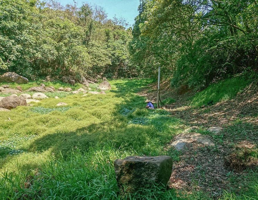 池塘抓魚示意圖(漏水的新埤)照片拍攝者：蕭學苑