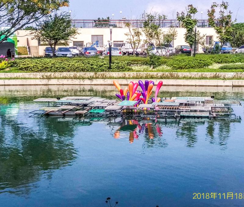 葫蘆墩花博園區-2 照片提供者：臺中市后豐社區大學廖啟宗、吳怡靜、詹智傑共同提供 / 拍攝日期：2018/11/18