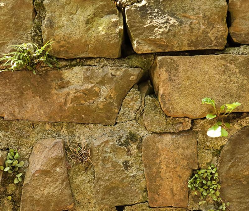 撿拾當年城牆舊石塊、重新造一段新牆照片拍攝者：洪光君 / 拍攝日期：2021/4/12