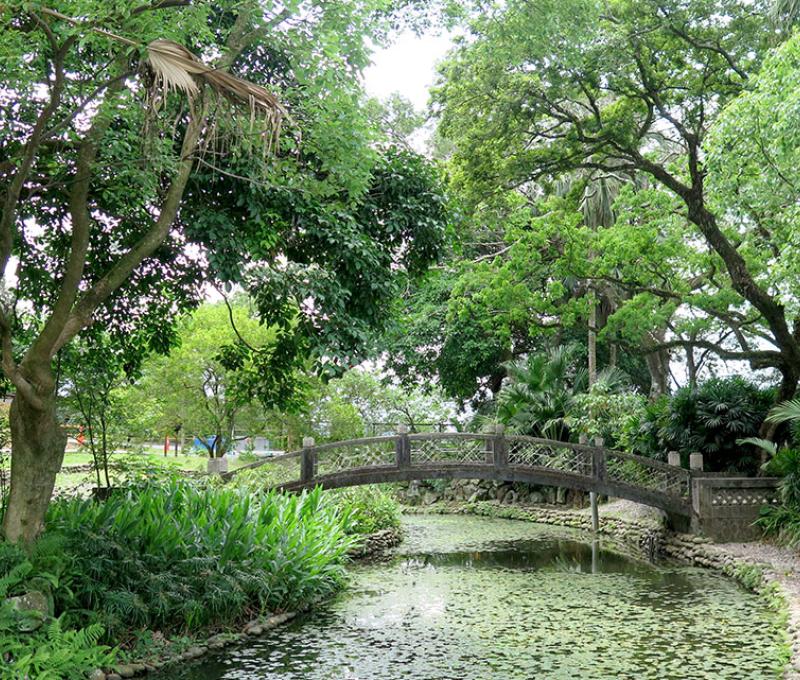 澤民橋生態池照片拍攝者：林炯任 / 拍攝日期：2021/4/24