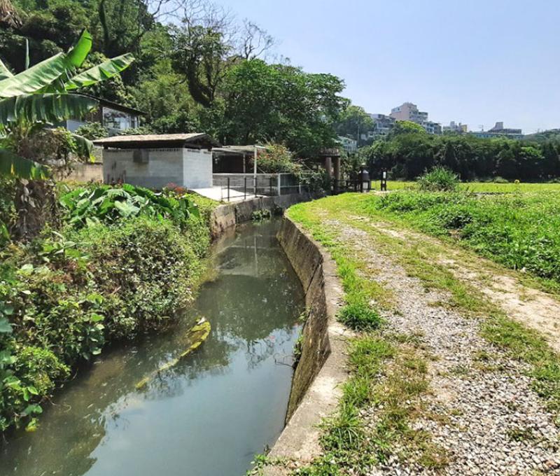 月眉圳。照片拍攝者：黃君琪 / 拍攝日期：2021/4/12