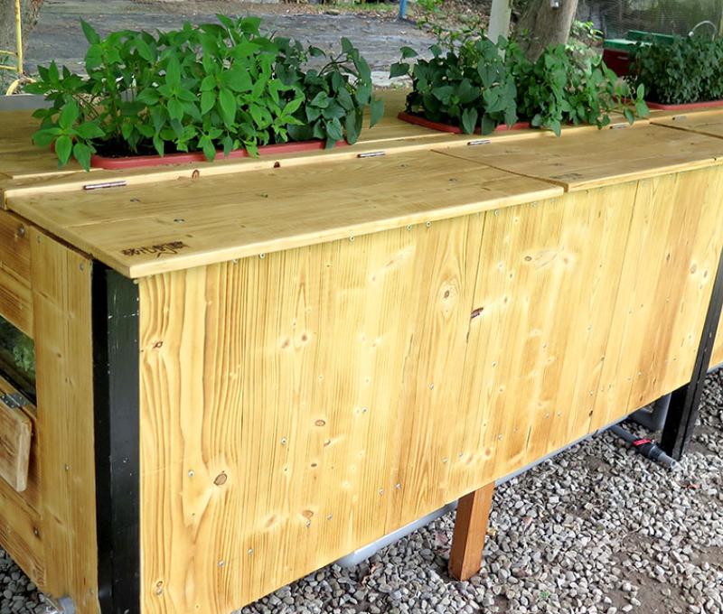 都市蚓農養殖箱照片拍攝者：林炯任 / 拍攝日期：2021/4/24