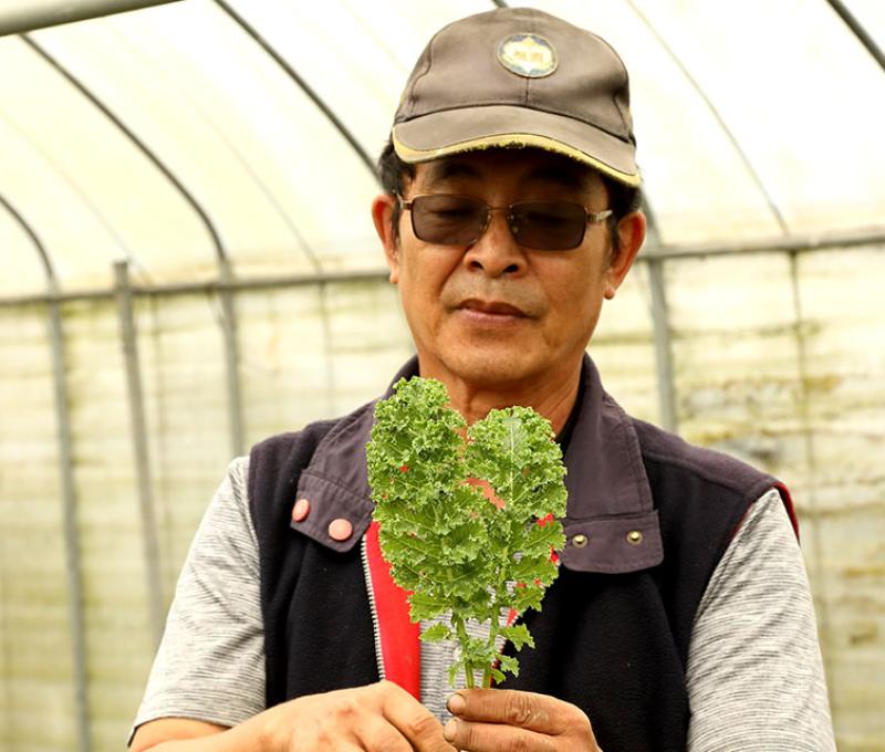 農場主人訴說羽衣甘藍的好照片拍攝者：洪光君 / 拍攝日期：2021/4/6