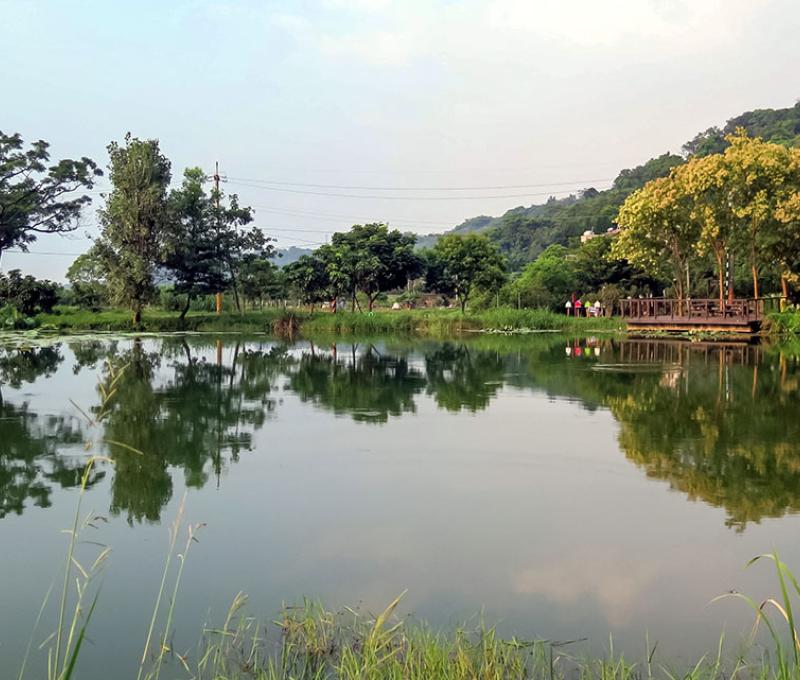 日埤塘。照片拍攝者：林炯任 / 拍攝日期：2021/4/25