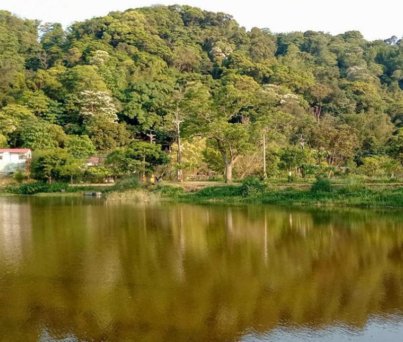 月埤塘。照片拍攝者：林炯任 / 拍攝日期：2021/4/25