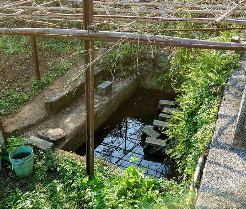 自然湧泉照片拍攝者：洪光君 / 拍攝日期：2021/4/6