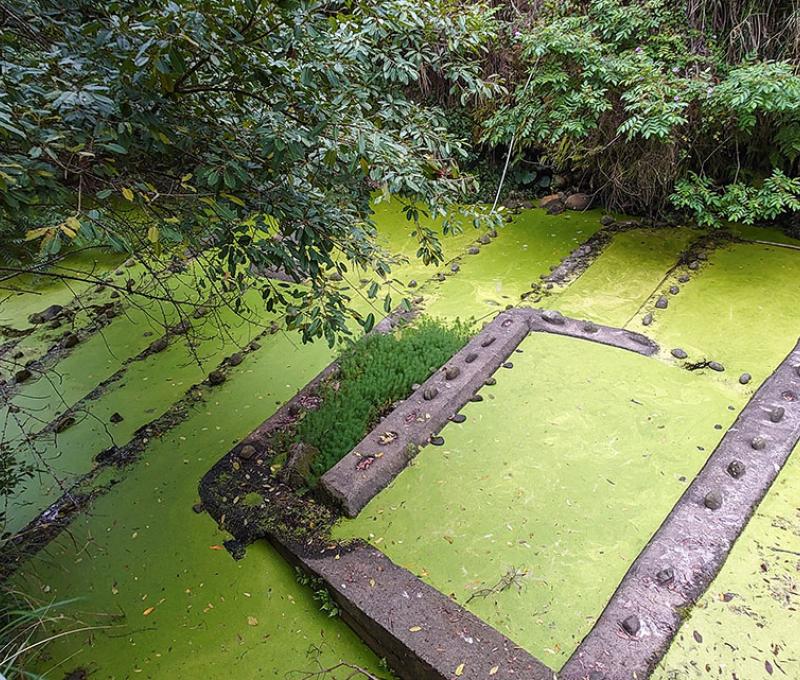 缺水的頭竂溪照片拍攝者：洪光君 / 拍攝日期：2021/4/15