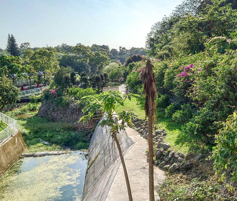 步道延著草嶺溪延伸照片拍攝者：洪光君 / 拍攝日期：2021/4/6