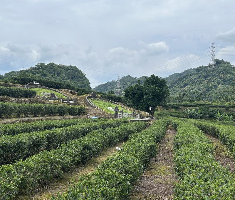 翁家父子古墓（照片拍攝者：王信喜／拍照日期：2025/5/20）
