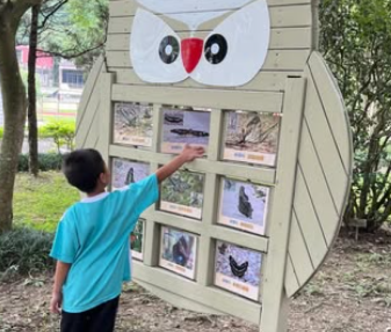 貓頭鷹看板（照片拍攝者：網路截圖／拍照日期：2025/6/18）