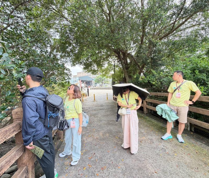 學員在水筆仔綠蔭大道駐足觀察。（照片提供者：賴佳瑋 / 拍攝日期：2026.08.11）