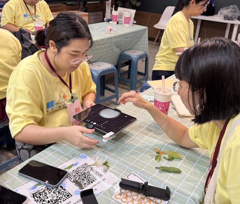 學員將戶外採集的植物素材帶回教室，透過平板與數位工具進行觀察、拍攝與記錄，從細微特徵中探索自然之美。照片提供者：許大偉 / 拍攝日期：2026.08.11）