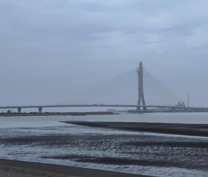 遠眺淡江大橋（照片提供者：江逸傑、邱文仕、莊淽媃、潘瑞玉 / 拍攝日期：2026.03.16）