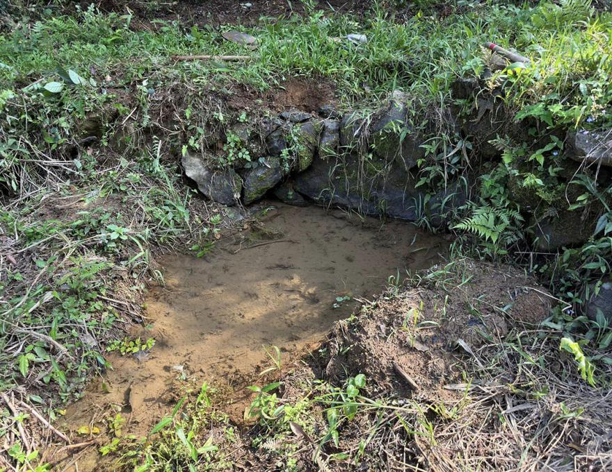 舀水灌溉現照照片拍攝者：蕭學苑